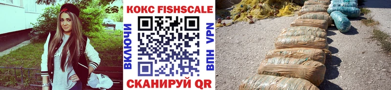 COCAIN Fish Scale  закладки  Новая Ладога 