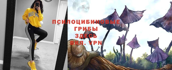 PSILOCYBIN Алексин