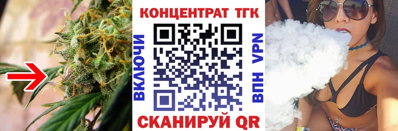 магазин продажи   Новая Ладога  ТГК THC oil 