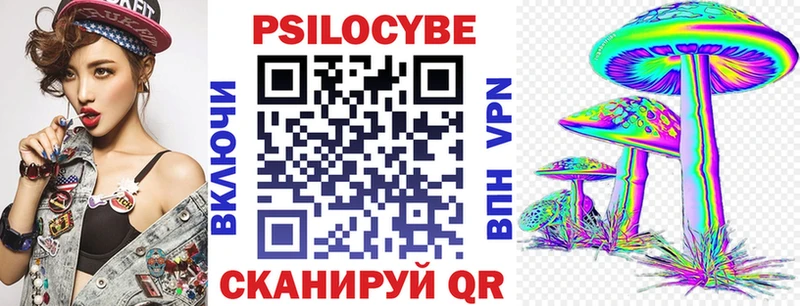 где купить наркоту Новая Ладога Псилоцибиновые грибы MAGIC MUSHROOMS